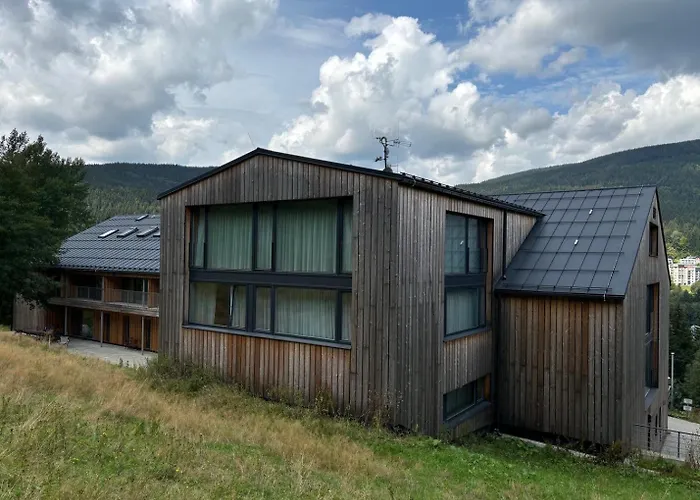 Alpina Mountain View Apartment