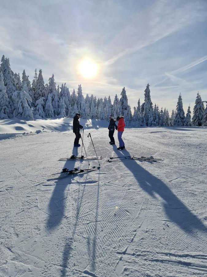 Alpina Mountain View Apartment Spindleruv Mlyn