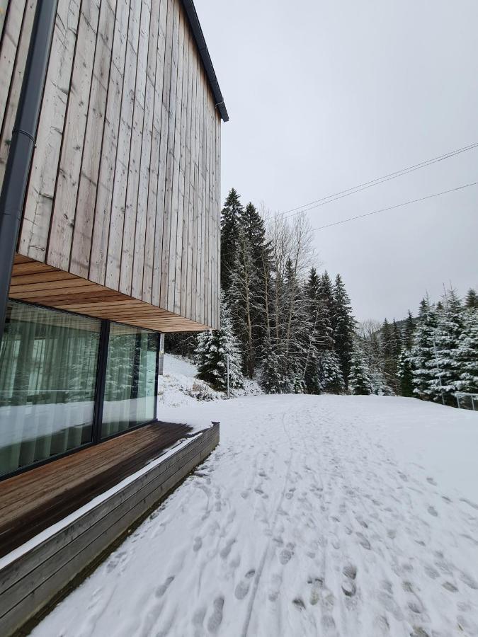 Alpina Mountain View * Spindleruv Mlyn