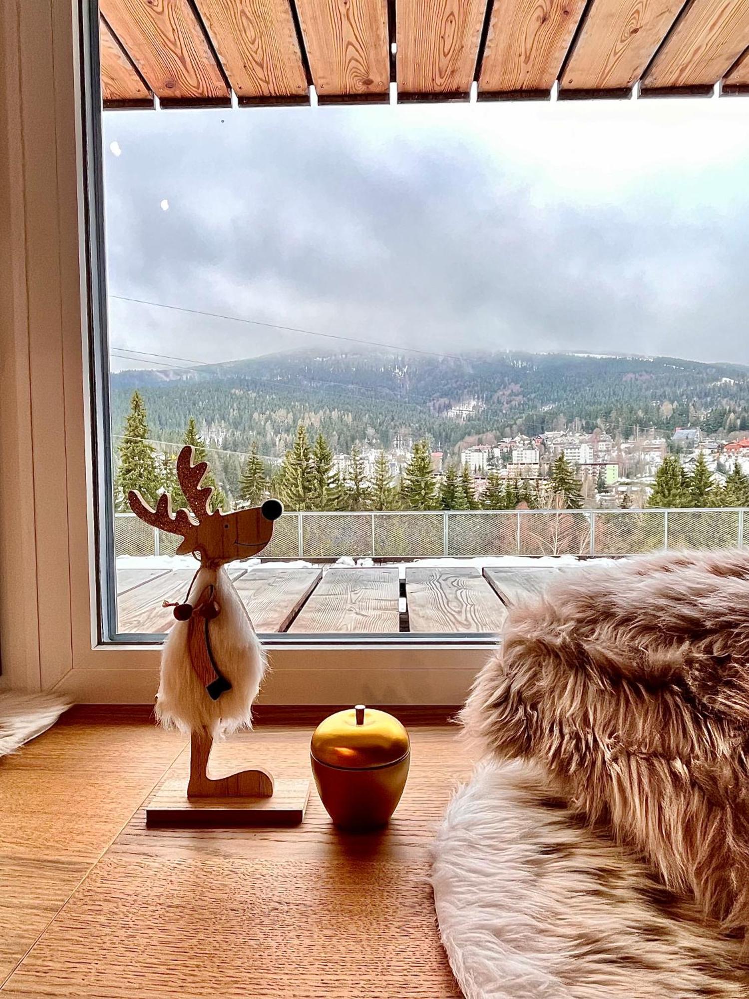 Alpina Mountain View * Spindleruv Mlyn