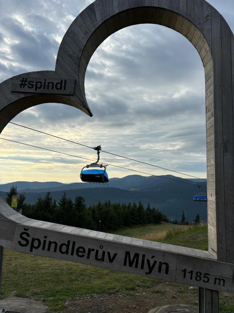 Alpina Mountain View *