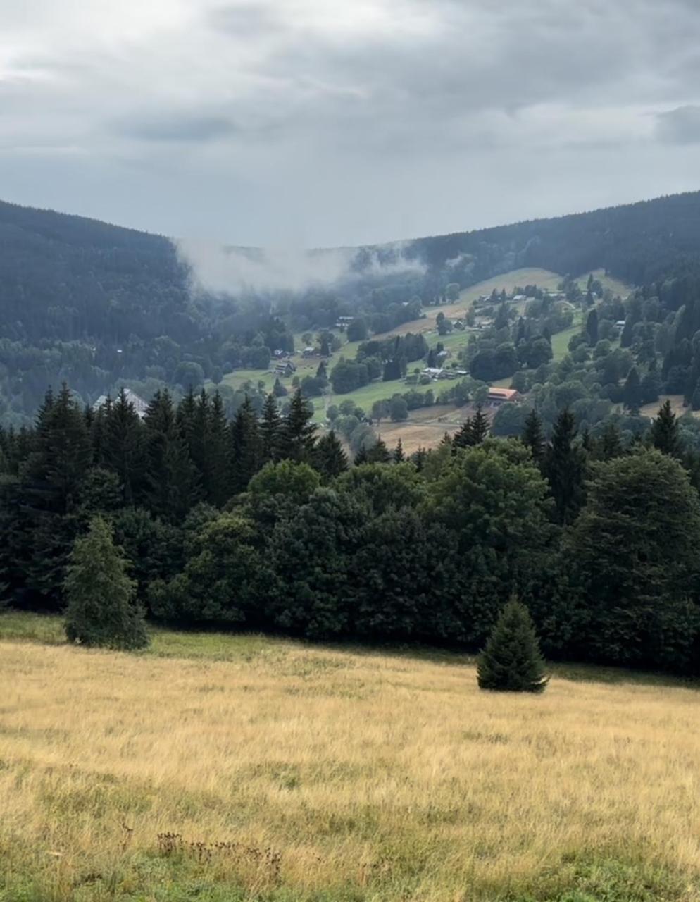 Alpina Mountain View *
